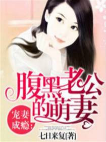 宠妻成瘾：腹黑老公的萌妻