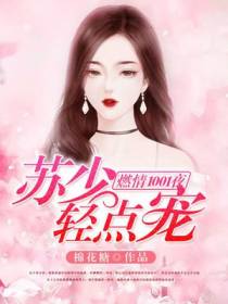 燃情1001夜：苏少，轻点宠