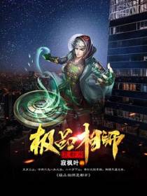 张辰苏婉清
