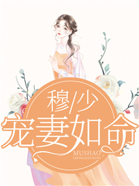 穆少宠妻如命