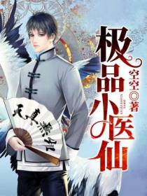 极品小医仙