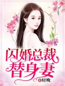 闪婚总裁替身妻
