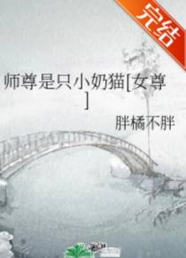 陆笙苏御