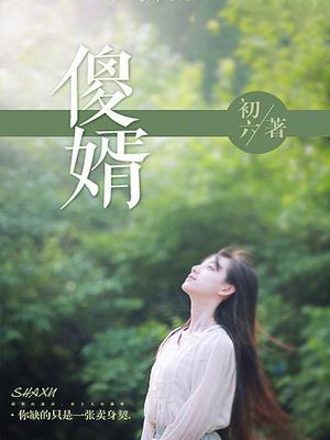 傻婿