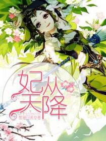 妃从天降