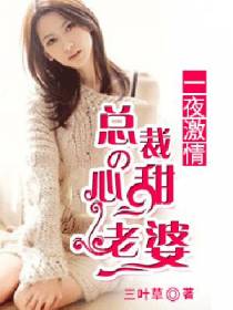 一夜激情：总裁的甜心老婆