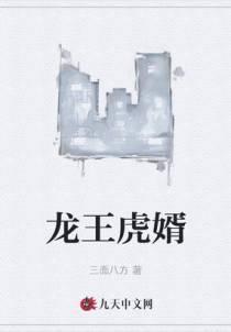 龙王虎婿