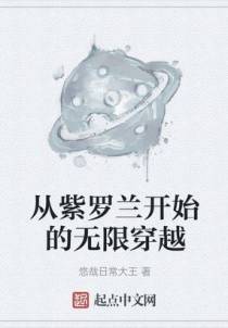 从紫罗兰开始的无限穿越
