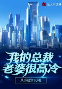 我的总裁老婆很高冷