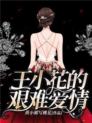 王小花的艰难爱情