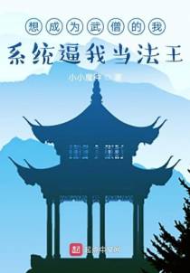 想成为武僧的我，系统逼我当法王