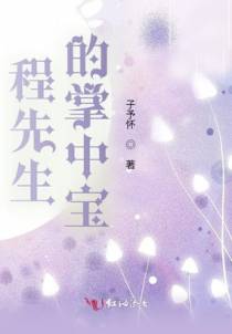 程先生的掌中宝