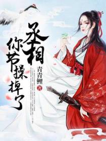 丞相，你节操掉了