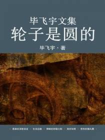 毕飞宇文集：轮子是圆的