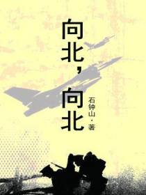 向北，向北（黑马长篇小说丛书）