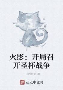 火影：开局召开圣杯战争