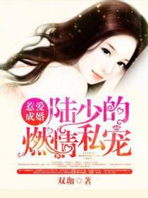 惹爱成婚：陆少的燃情私宠