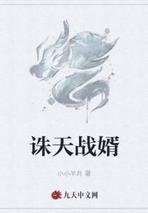 诛天战婿