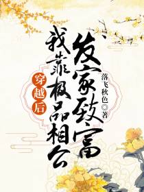 我靠极品相公发家致富