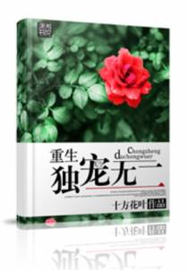 重生之独宠无二