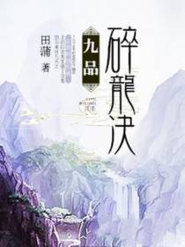 九品碎龙决