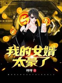 我的女婿太豪了