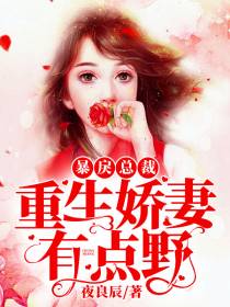 童安夏韩沐修