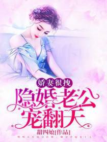 宠妻狂魔：老婆，求负责