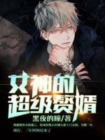 林阳苏颜小说