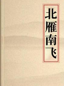 北雁南飞