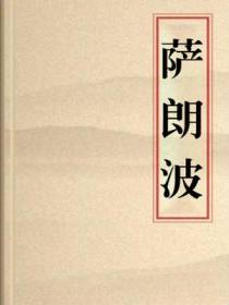 萨朗波