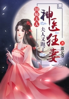 风如倾南弦