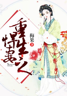 重生之悍妻