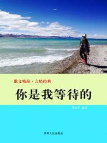 你是我等待的