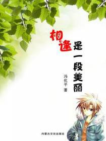 相逢是一段美丽