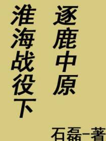 逐鹿中原淮海战役下