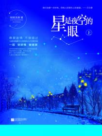 星是夜空的眼（全二册）