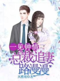 一见钟情：总裁追妻路漫漫