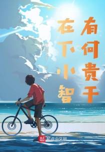 在下小智，有何贵干