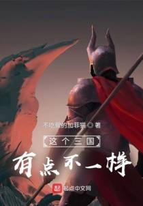 这个三国有点不一样