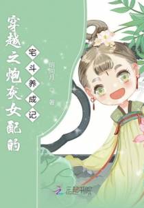 穿越之炮灰女配的宅斗养成记
