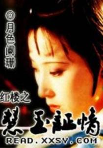 红楼之慧玉证情