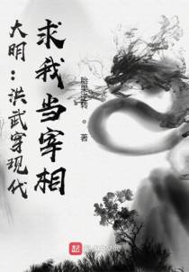 大明：洪武穿现代，求我当宰相