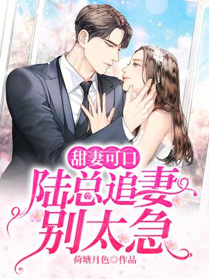 甜妻可口，陆总追妻别太急