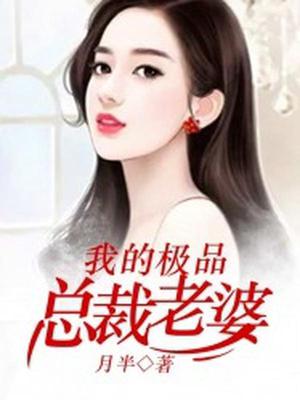我的极品总裁老婆叶枫