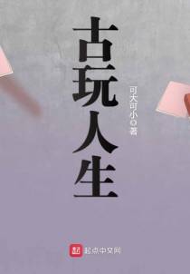 古玩人生