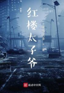 从红楼太子爷开始收录诸天