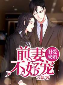 旧爱成婚，前妻不好宠