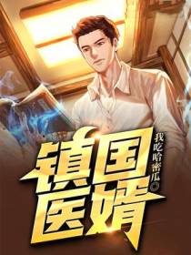 镇国医婿