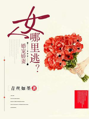 御庭川宁小狐